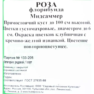 Роза флорибунда «Мидсаммер» С4 82237672 STLM-2119217