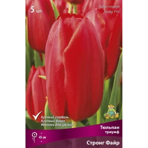 Тюльпан Триумф Стронг Файр, 5 шт 85205591 STLM-2138886