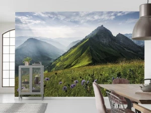 Komar Флизелиновые обои с пейзажами Wanderlust Shx9-088