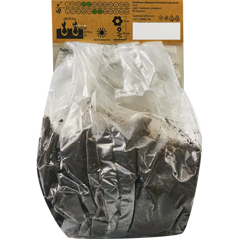 Лилейник Geolia гибридный Лаллебай Бэби 86408699 STLM-2116406  - Вид №1
