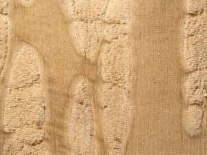 Полиэстер и хлопок ткань