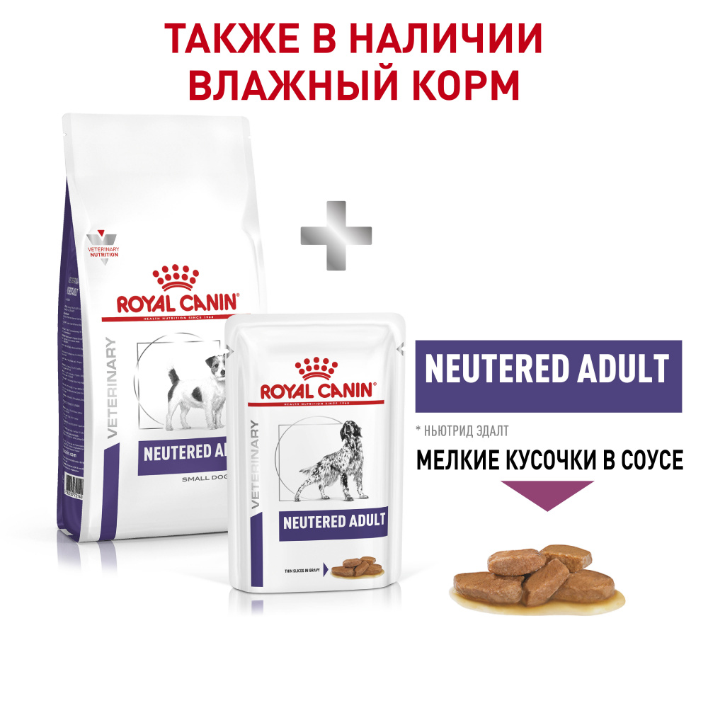 Т0043180 Корм для собак Neutered Adult Small Dog для кастрированных собак мелких пород, птица сух. 800г ROYAL CANIN  - Вид №5