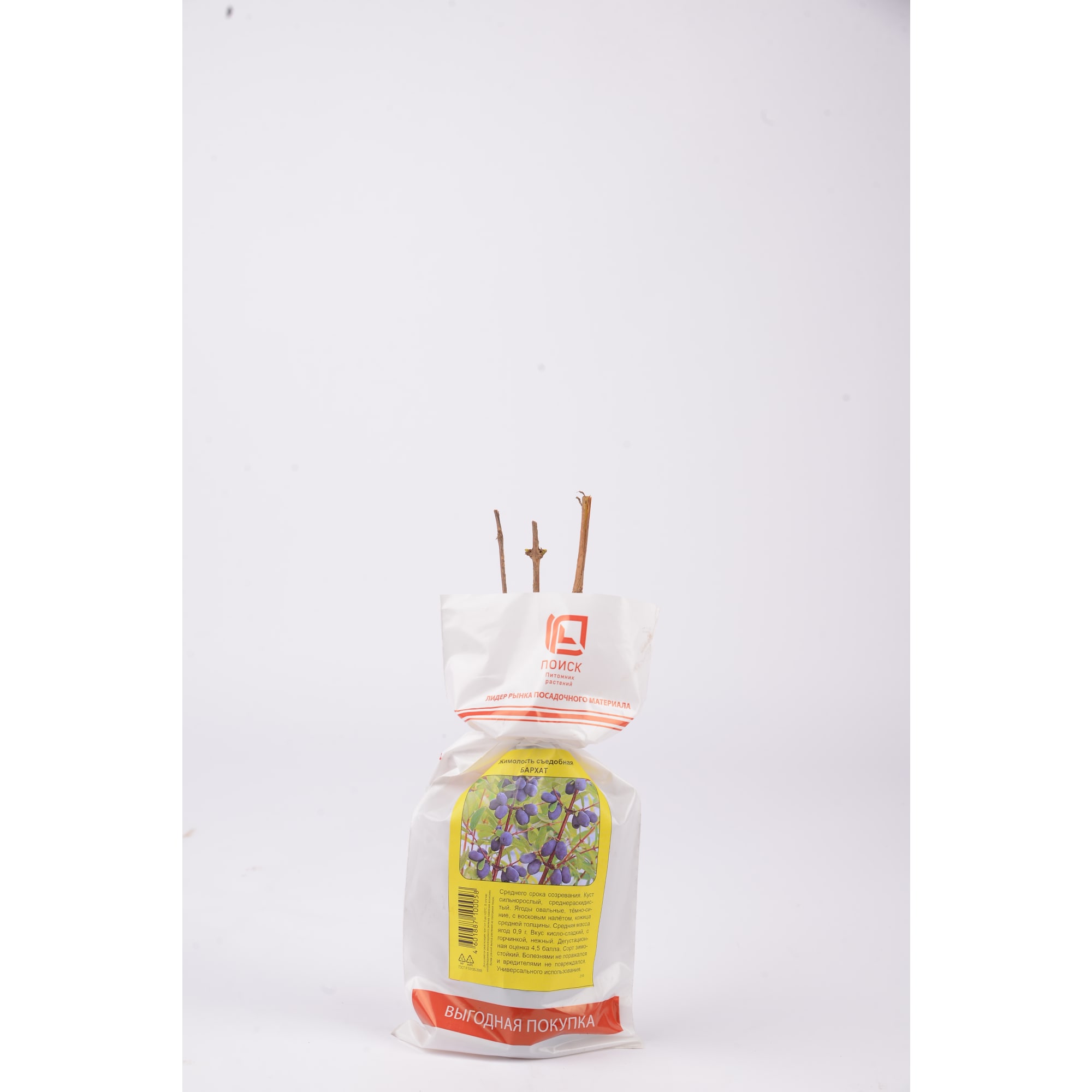 83791425 Жимолость съедобная Бархат h40 см Santreyd 