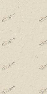 LOGAN 60х120 BONE Rektifiye Kutahya 802