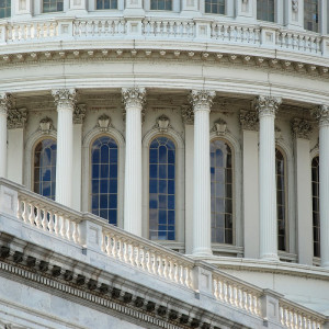 0943/CX38 Картина 0943 Adriani e Rossi