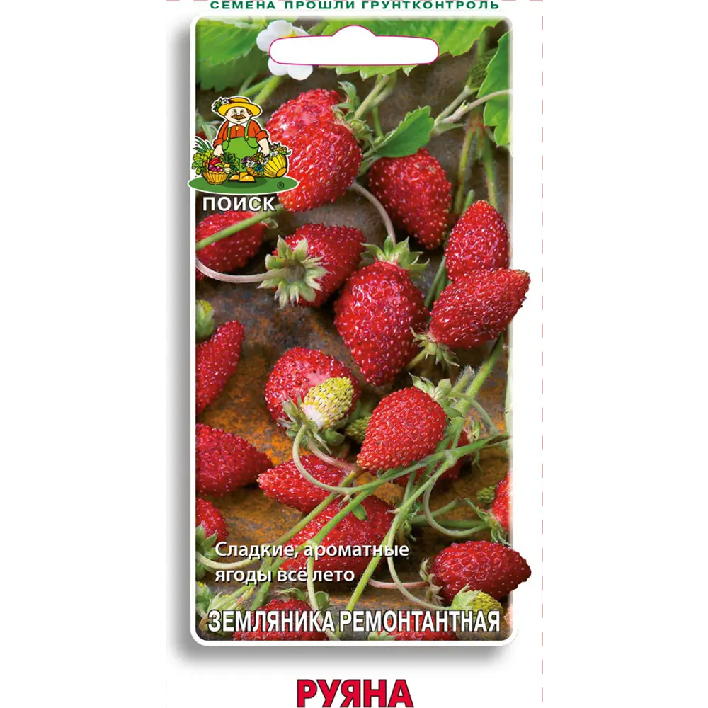 Земляника ремонтантная «Руяна» от ПОИСК — непрерывное плодоношение весь сезон 82102471 STLM-0018984