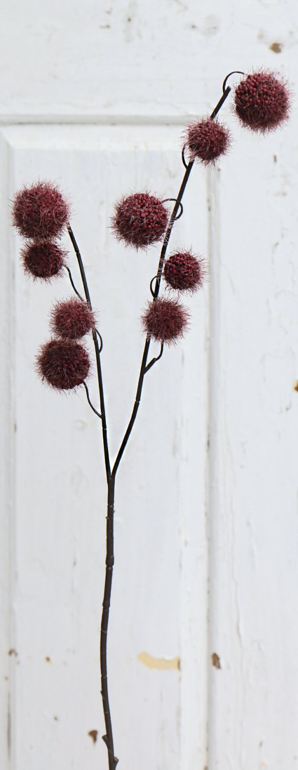 5549 490 a3 Фруктовая ветка гомфокарпус, 60 см, красно-черная H-andreas  - Вид №2