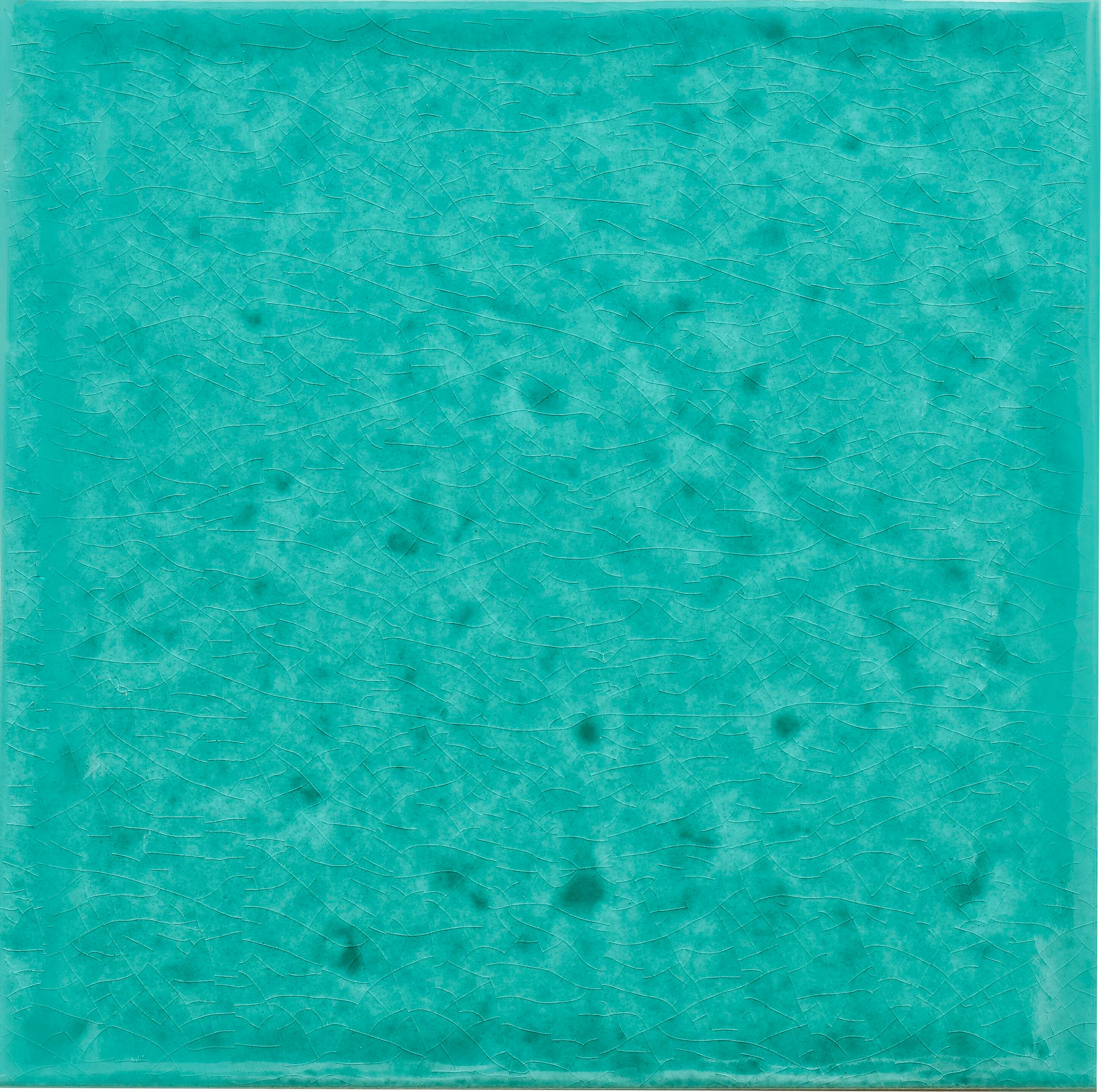 Пол / покрытие ручной работы La Riggiola одноцветный ARCH-00082525 - Вид №13