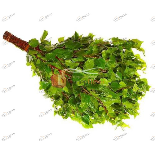 Березовый веник для бани Santreyd 2760