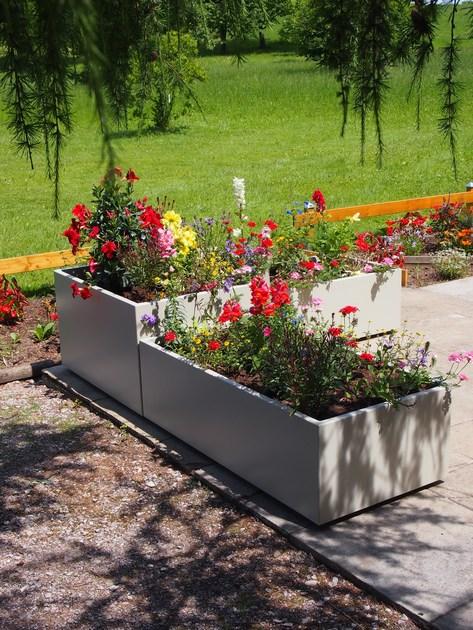 IMAGE'IN Сеялка со скошенной кромкой sun-id-1431806 - Вид №1