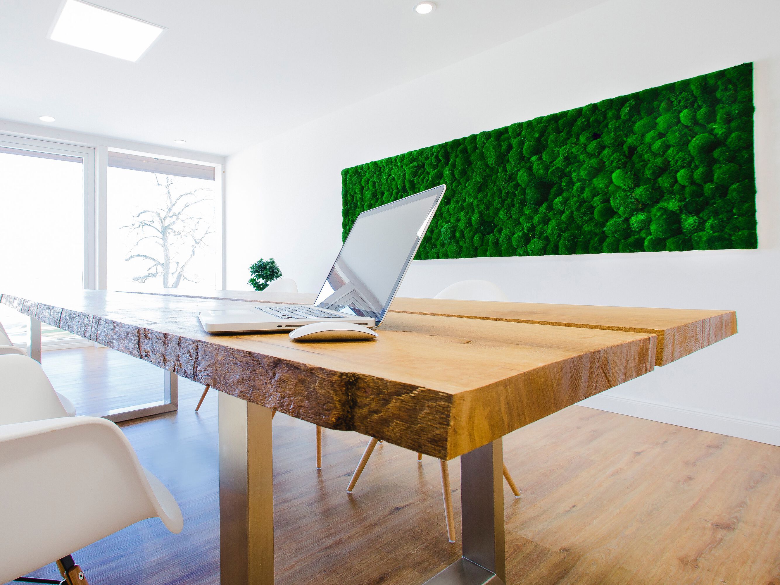 Растительная картина из мха Freund GmbH ARCH-00066512