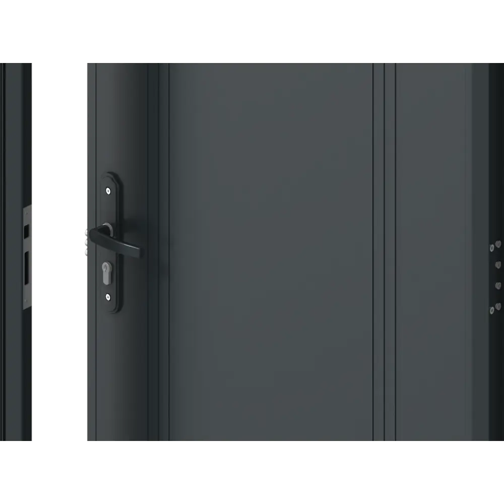 Дверь входная металлическая Эко 98x205 см левая антрацит DOORHAN STLM-2062114 - Вид №5