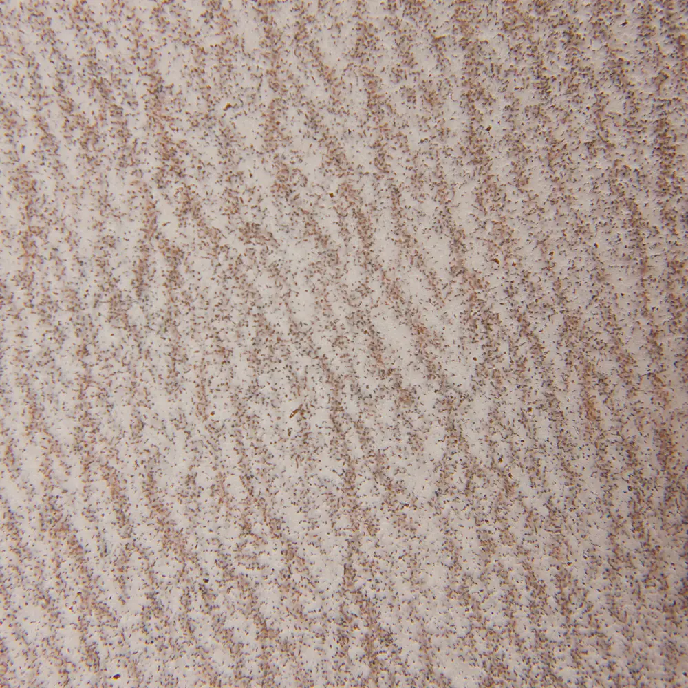 Шлифовальные диски Flexione P220 180 мм для идеальной обработки металла 81929888 STLM-0014044 - Вид №1