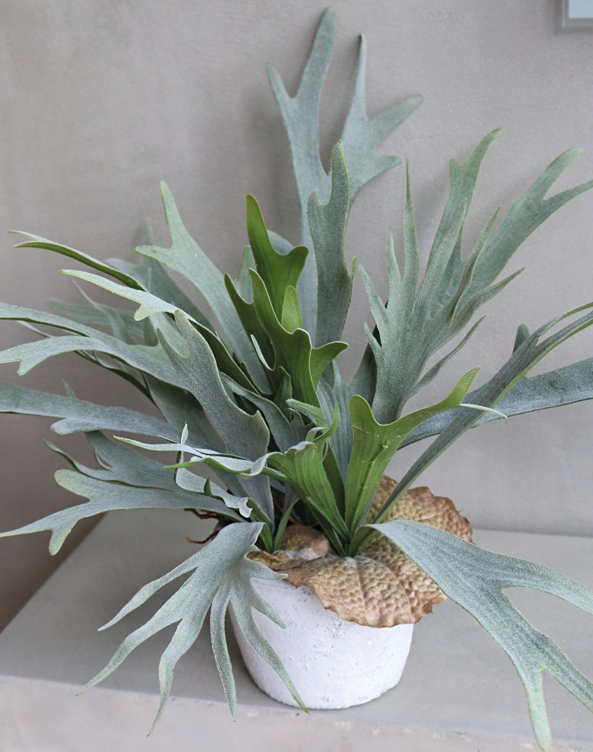 4911 883 a3 Искусственный папоротник олений рог, горшок, 50 см, зеленый H-andreas  - Вид №3