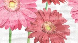 Декор Dec Gerbera Panno A 25х45