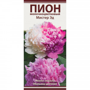 82530287 Пионы травянистые Мистер Эд