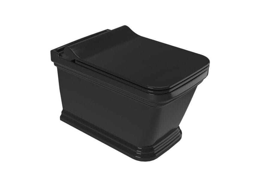 Туалет для биде без бриды Kaleseramik сантехника ARCH-00140262 - Вид №1