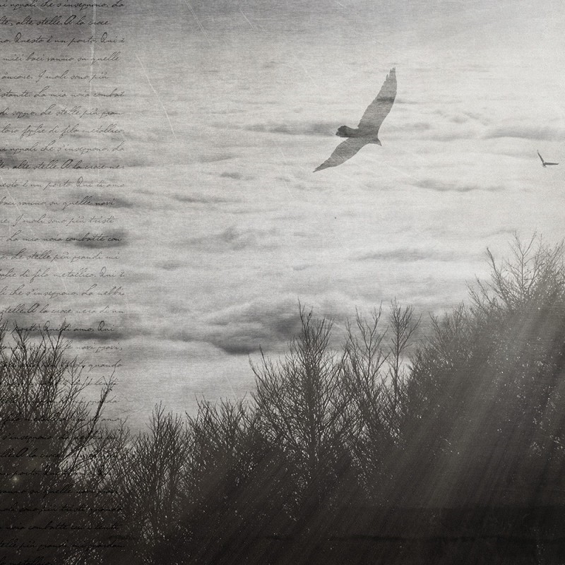 WP02008A Обои декоративные Adriani e Rossi  - Вид №5