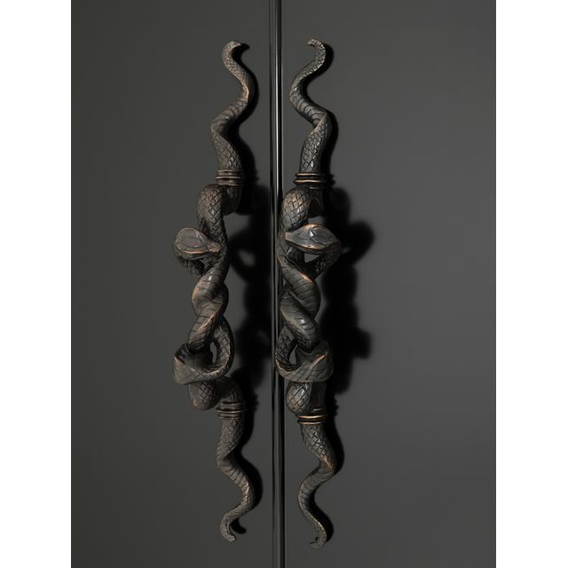 Шкаф двухдверный коричневый Python PUSHA EICHHOLTZ 062473 Черный  - Вид №5