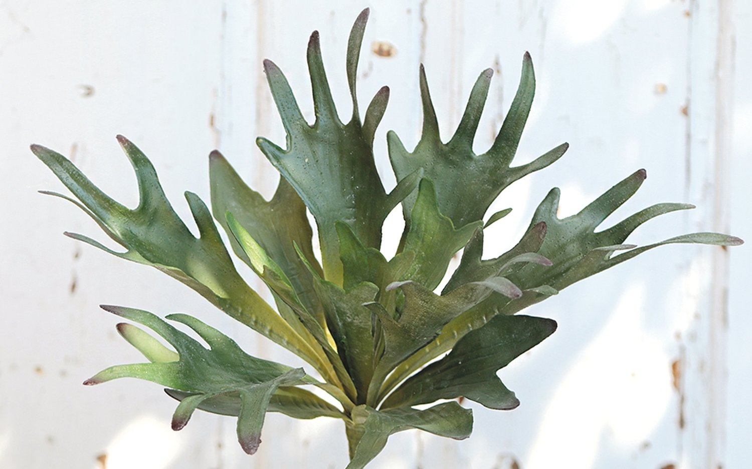 6448 883 a3 Искусственный папоротник из оленьего рога, 28 см, зеленый H-andreas  - Вид №3