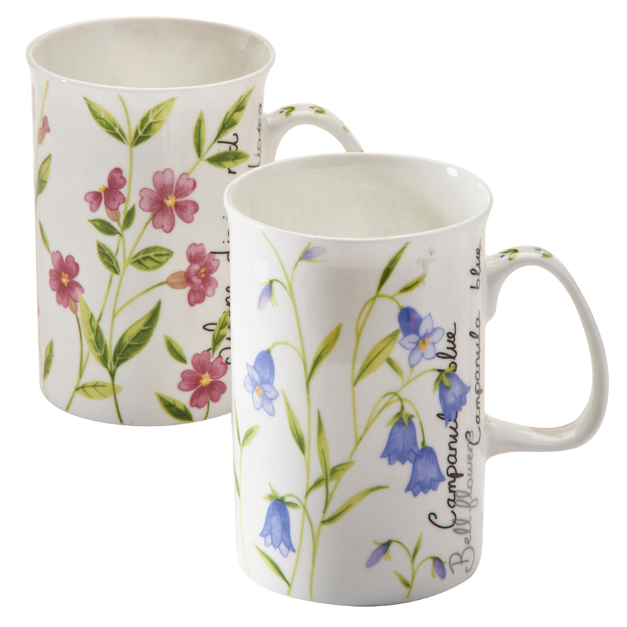 P_0043.007 Кружка botanic 300 мл Price&Kensington 