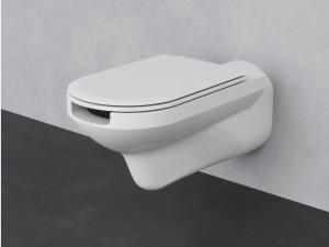 Подвесной туалет для инвалидов