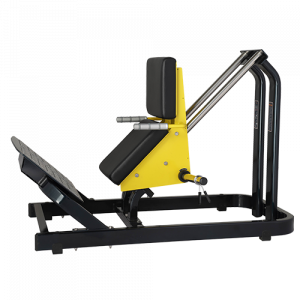 XA-00 Bronze gym xa-00 голень-машина Bronze Gym