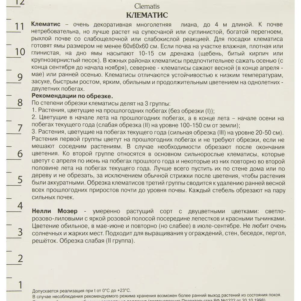 Клематис Нелли Мозер Поиск 18345630 STLM-2028884 Santreyd  - Вид №1