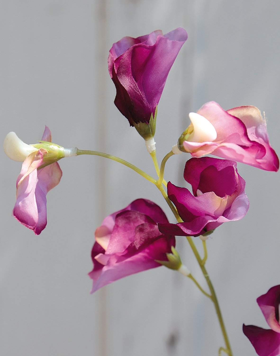 3181 005 a3 Вики искусственные, 4 штуки, 48 см, разноцветная миткалевая роза H-andreas  - Вид №8