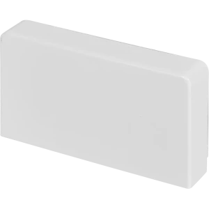 LEXMAN Заглушка для кабель-канала 100x55 мм 88039833