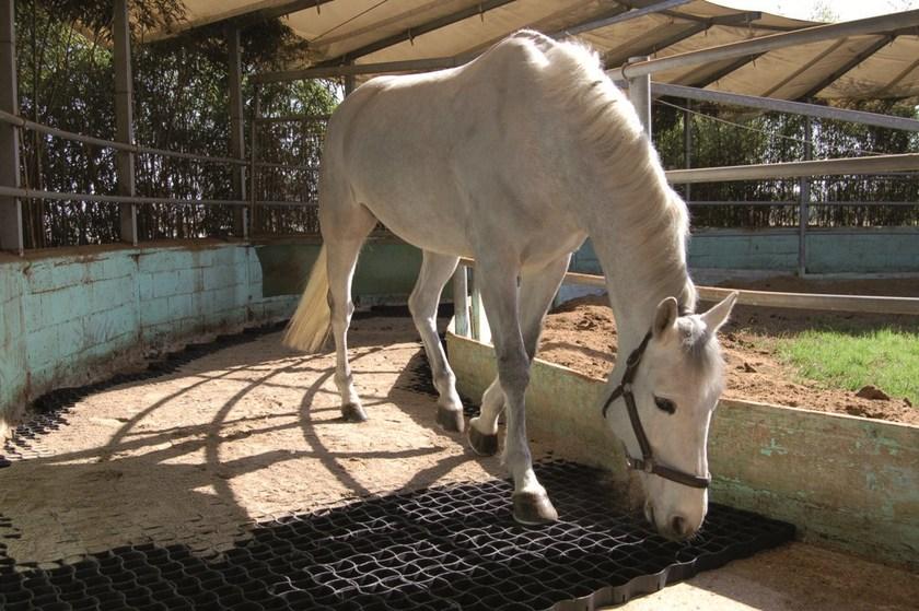 Geoplast Пластиковая решетка sun-id-1356985 - Вид №2