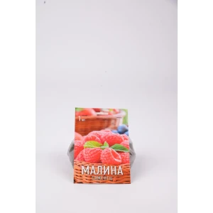 Малина Элегантная h17 см 83791399 STLM-2144606