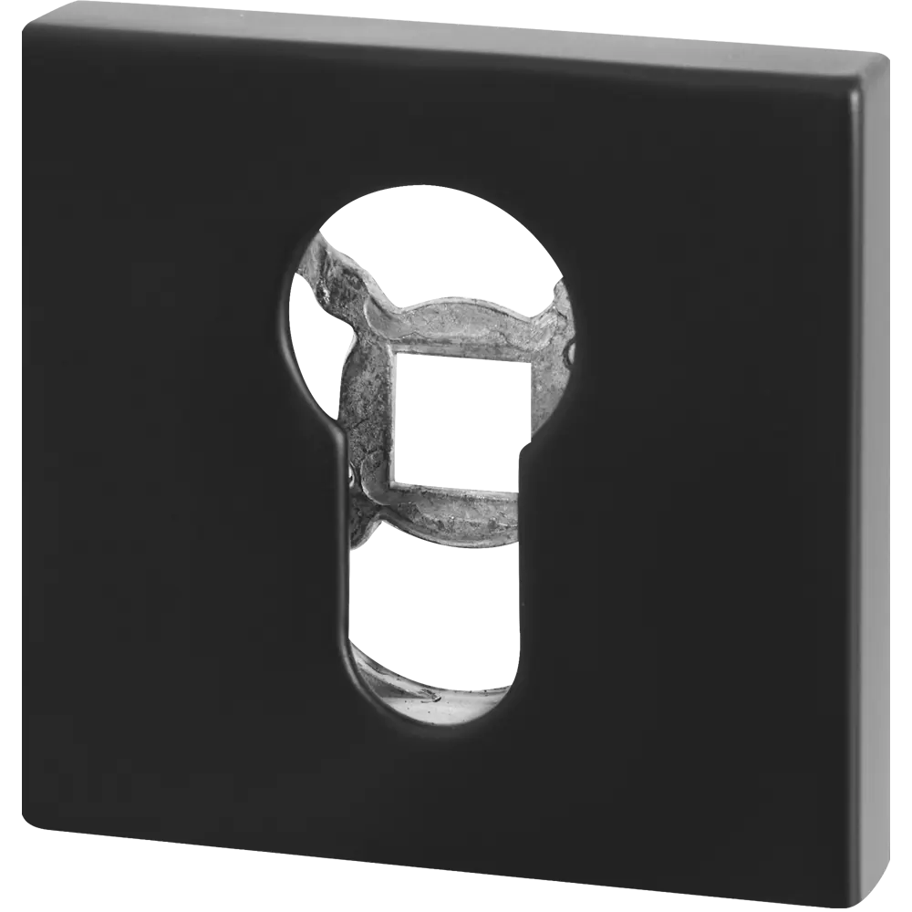 Накладка Santreyd ETBL49 для защиты замочной скважины 85218304 STLM-0059940