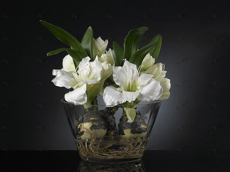 VGnewtrend Искусственное растение  1140955.95 