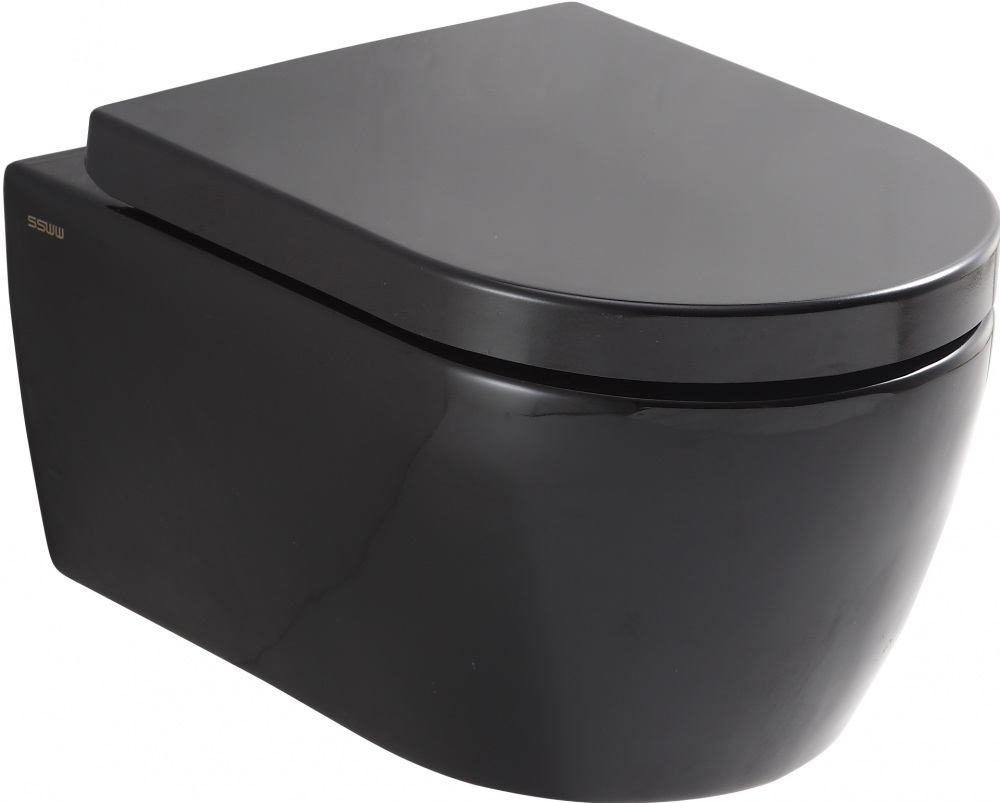 CT2019V Подвесной унитаз SSWW 