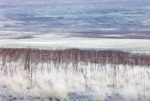 Пластификация «180°» 50*33 PANKOVSKY STUDIO ПЛАСТИФИКАЦИЯ 015883 Белый;голубой