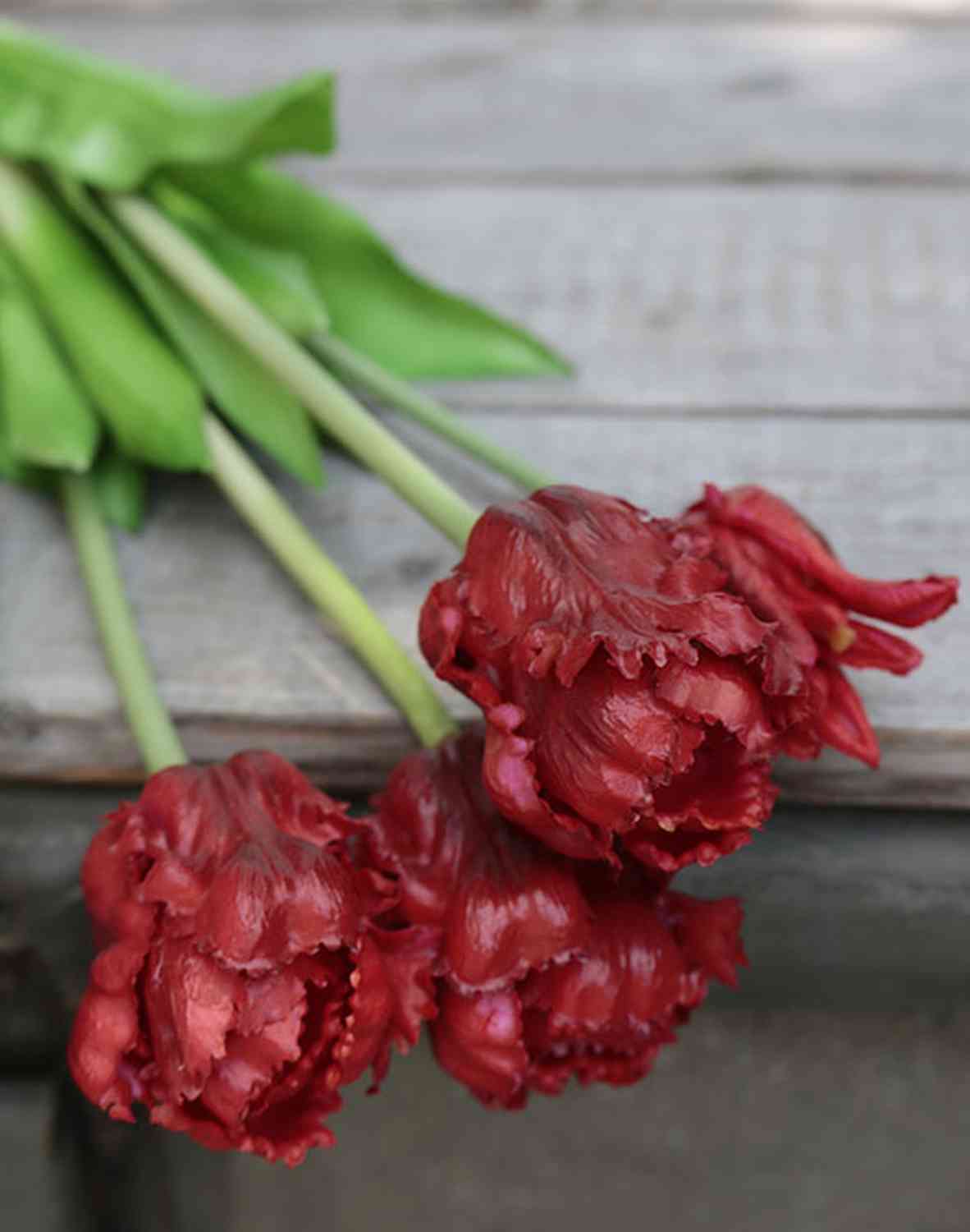 2951 444 a3 Искусственный попугай букет тюльпанов, 5-кратный, 47 см, красный H-andreas  - Вид №1