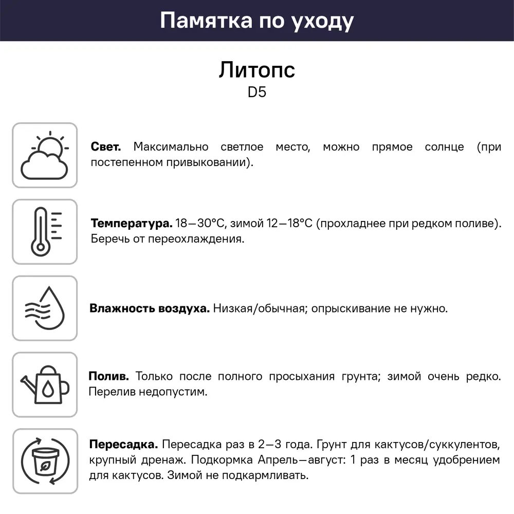 Литопс ø5 h2 см 89447849 STLM-2208978 Santreyd  - Вид №2