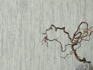 Нетканые обои