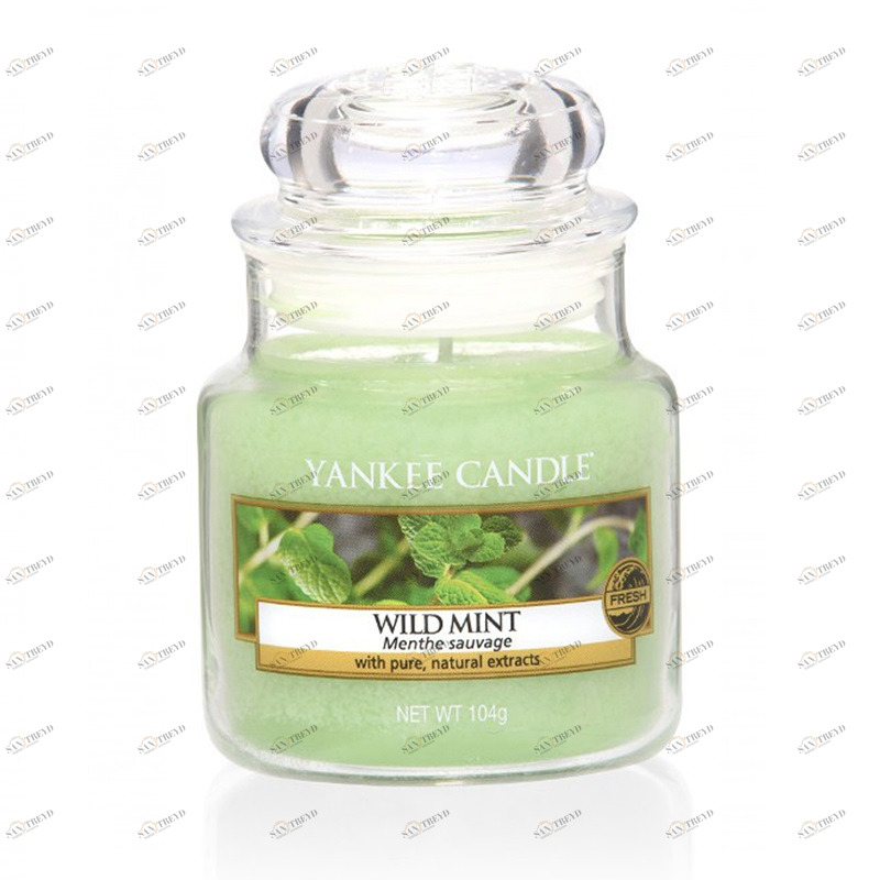 Свеча маленькая в стеклянной банке "Дикая мята" 104гр 25-45 часов YANKEE CANDLE  267890 Зеленый 