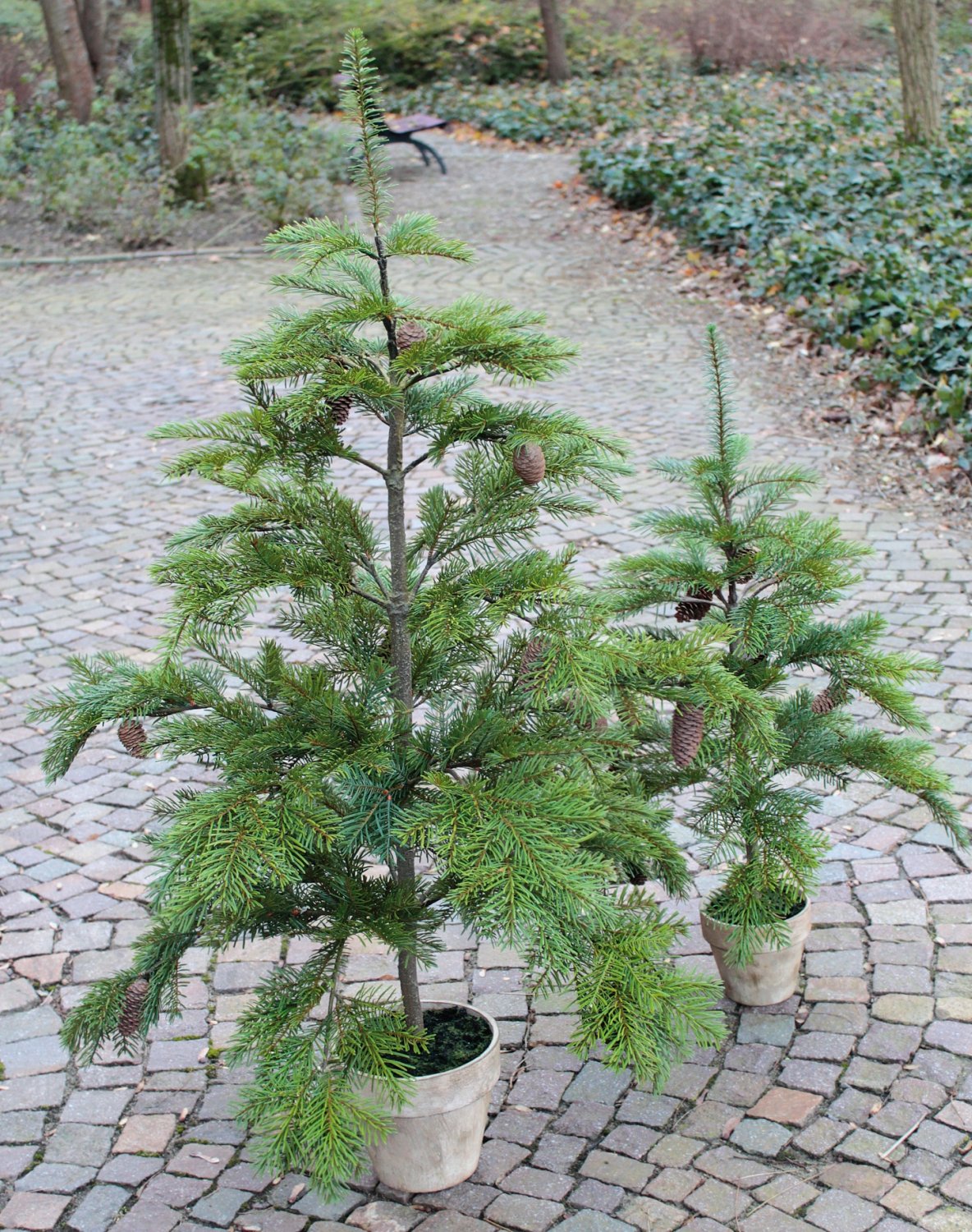 1123 883 a3 Пластиковая елка Нордманн с шишками, горшечная, 92 см, зеленая H-andreas  - Вид №3