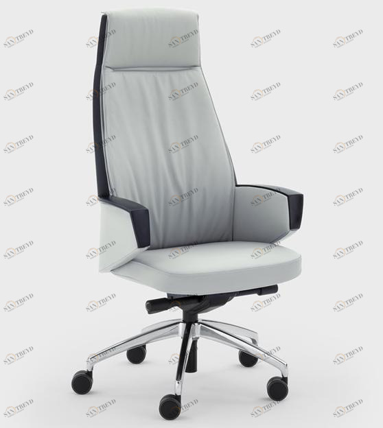 Viganò Поворотное кожаное кресло руководителя с подлокотниками Grace sun-id-1421435