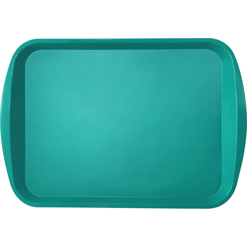Поднос прямоугольный Delinia 47x33 см полипропилен цвет изумрудный STLM-2181631 - Вид №2