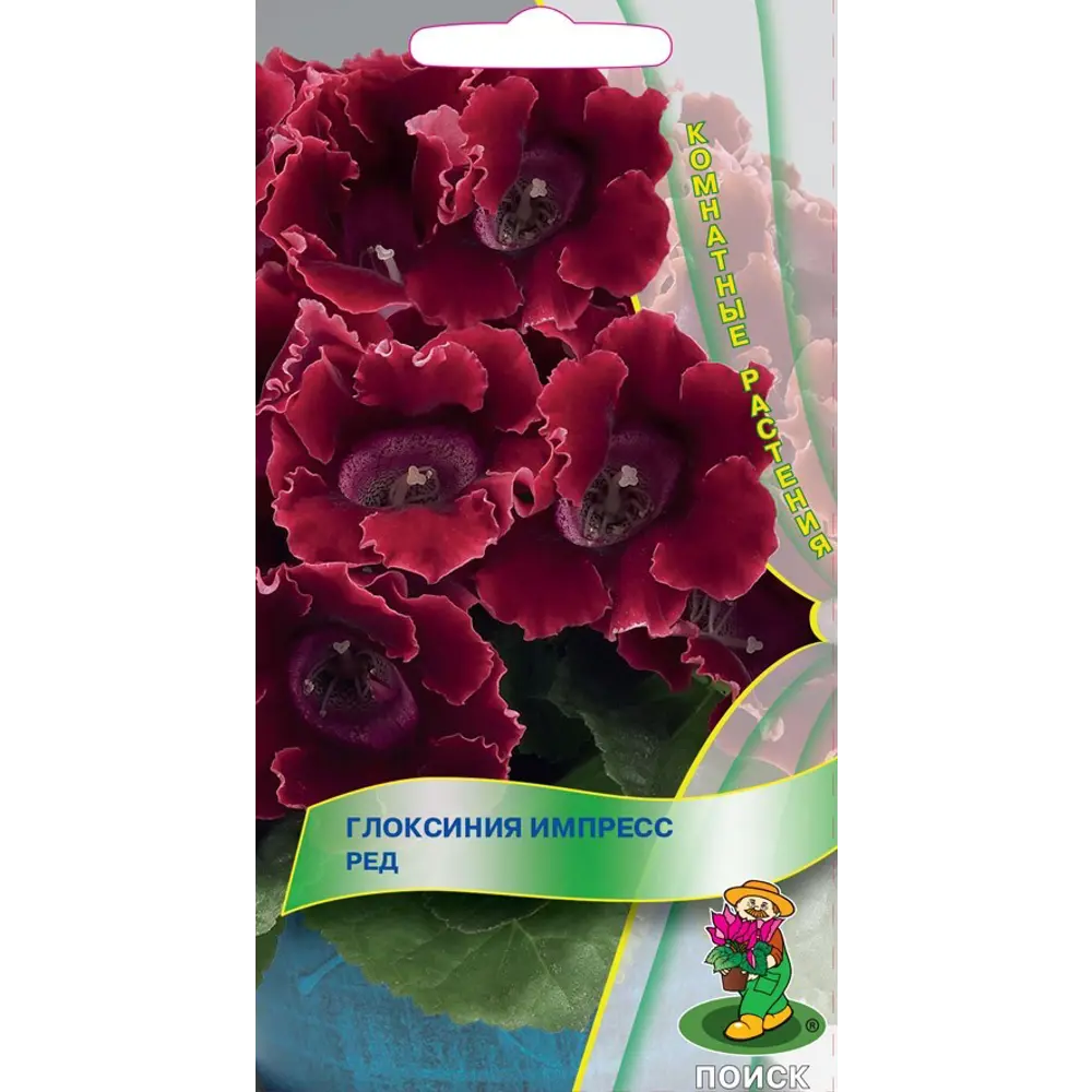 Семена Глоксиния «Импресс Ред» 82984196 STLM-2055496 ПОИСК 