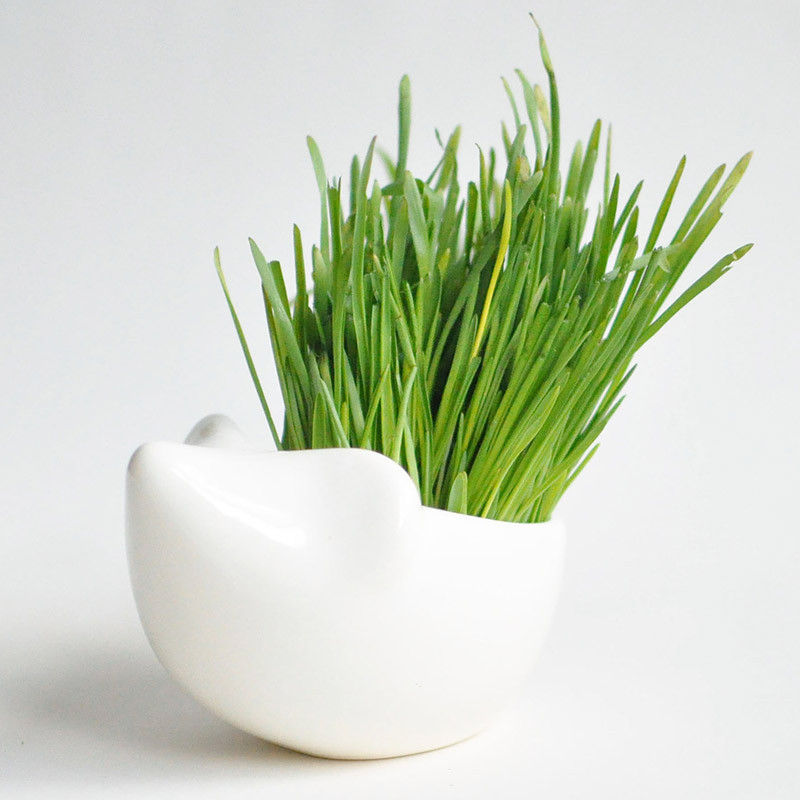 Набор для выращивания eco "Ёжик" ЭКОЧЕЛОВЕКИ  254569 Белый  - Вид №2