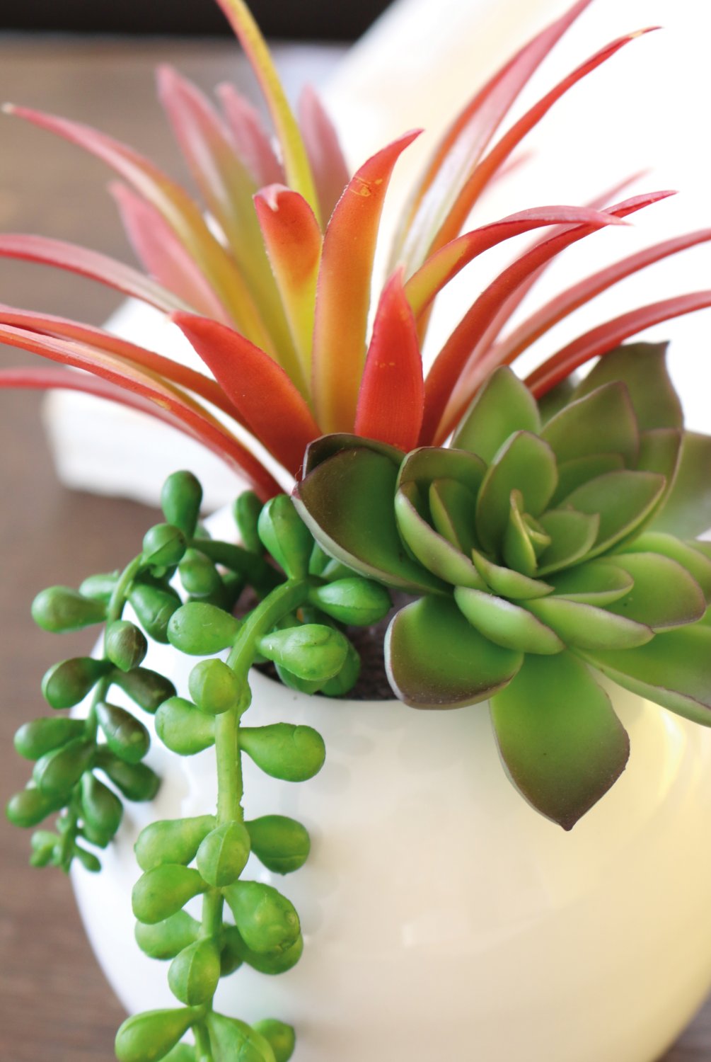 6038 849 a3 Искусственные суккуленты-микс в керамическом горшочке, 20 см, зелено-бордовый H-andreas  - Вид №3