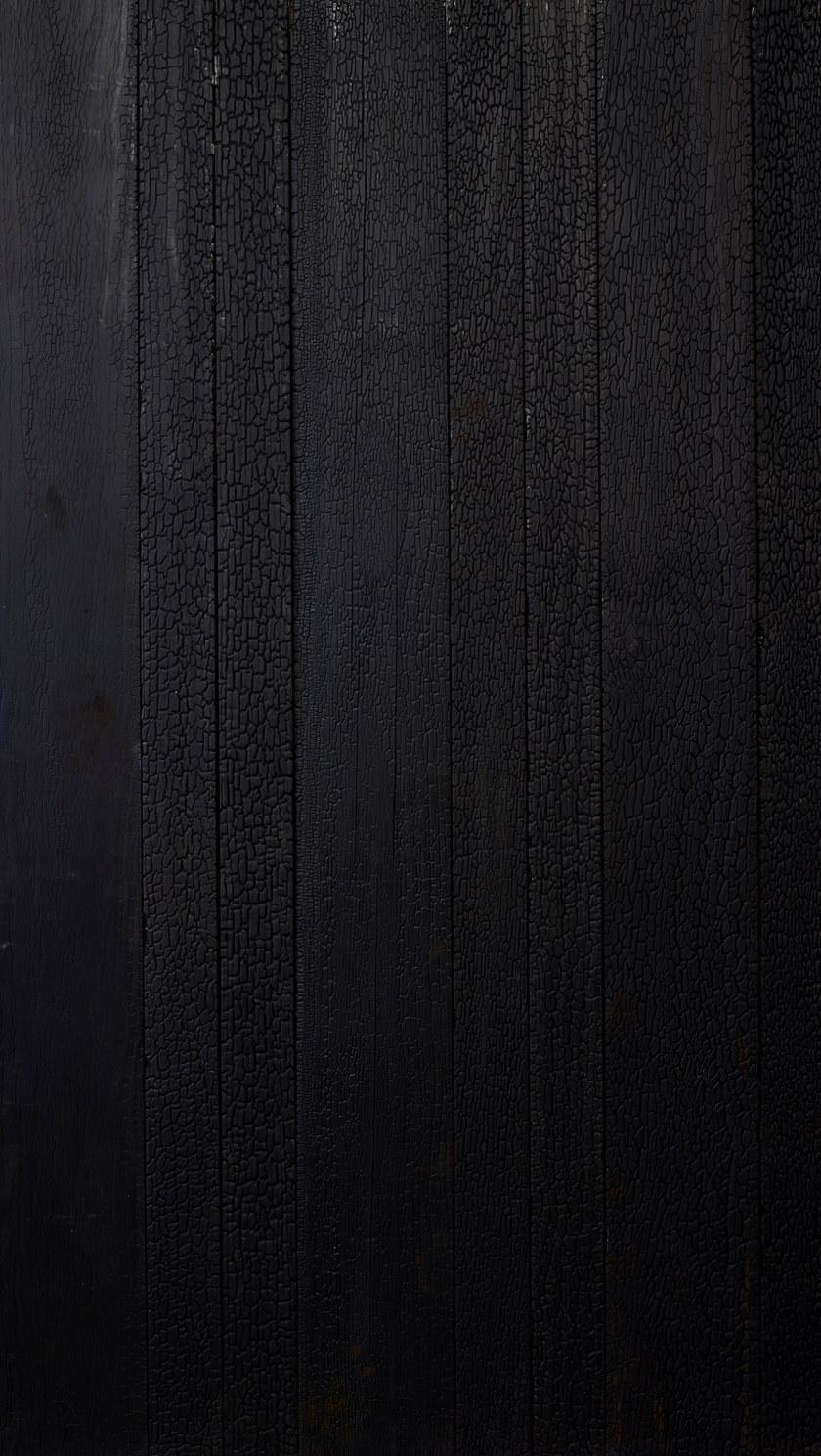 Sapiens Покрытие Accoya® для экстерьера и интерьера Ardes sun-id-1387467 - Вид №1