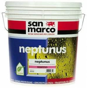 San Marco Neptunus