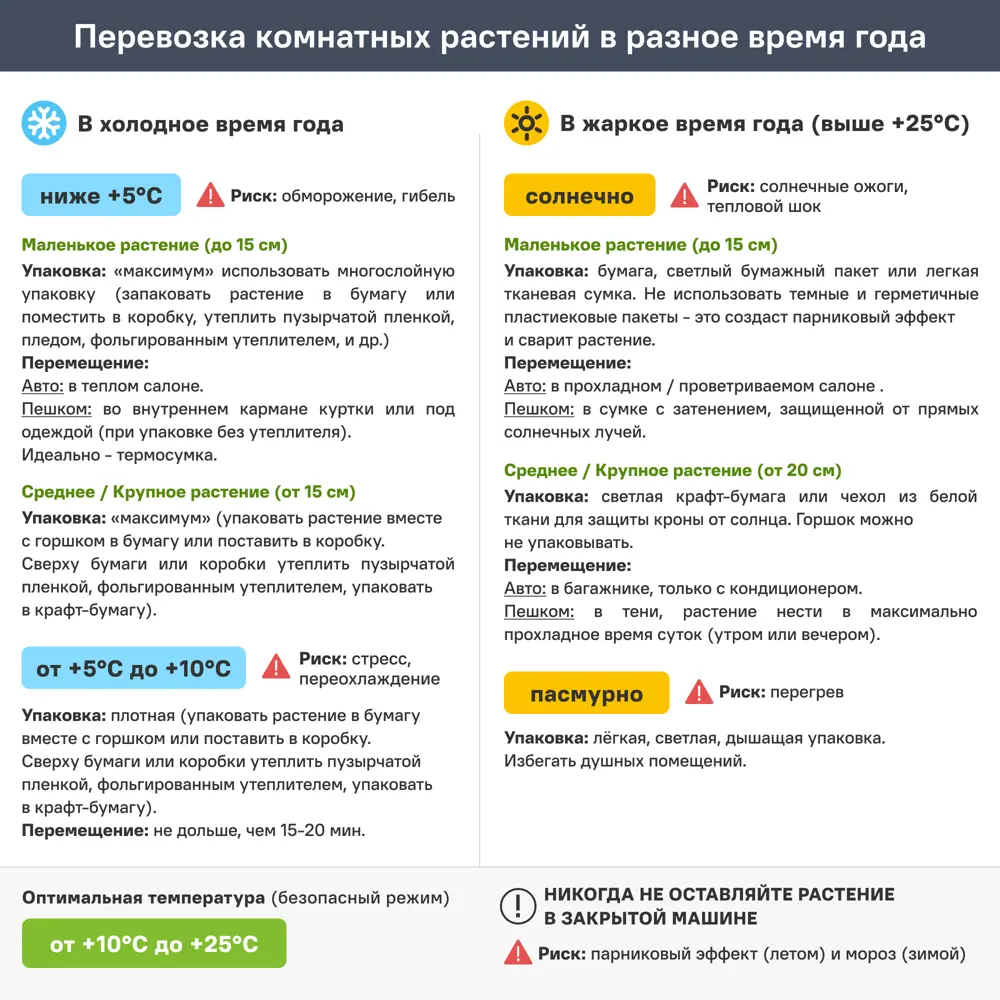 Антуриум Лили ø12 h30 см 89409565 STLM-2146964 Santreyd  - Вид №6