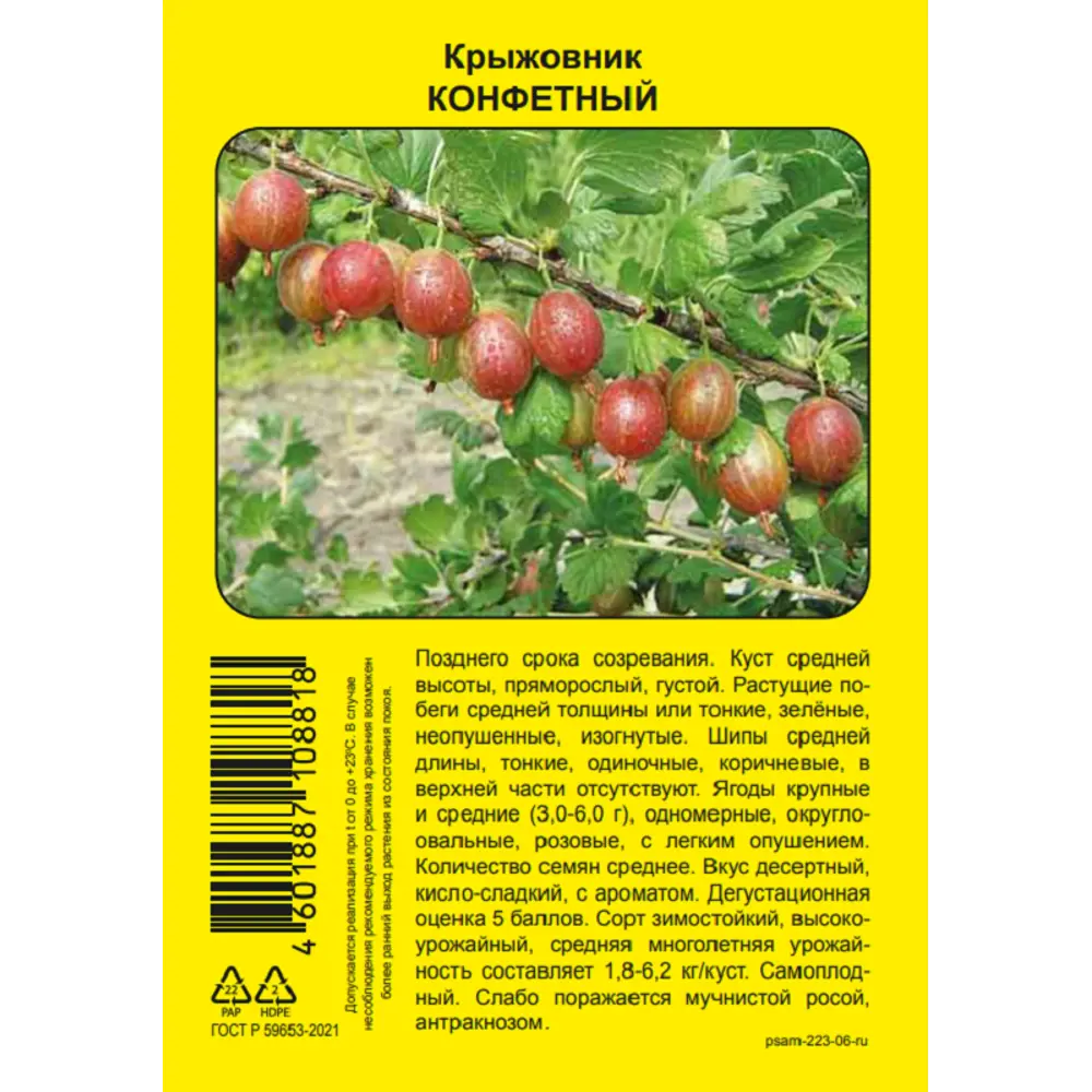 Крыжовник микс h37 см 89452222 STLM-2063314 Santreyd  - Вид №1